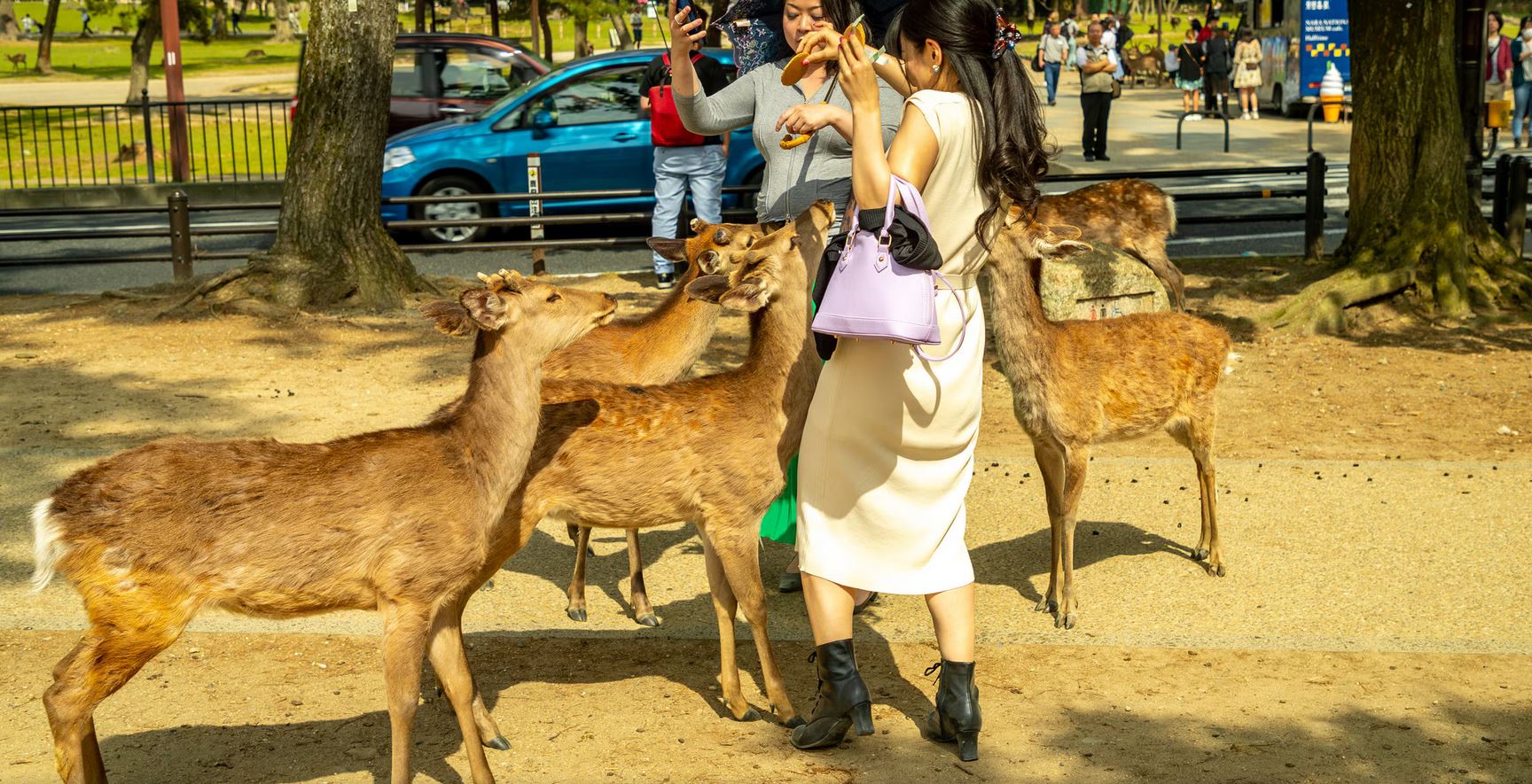 NARA4.JPG