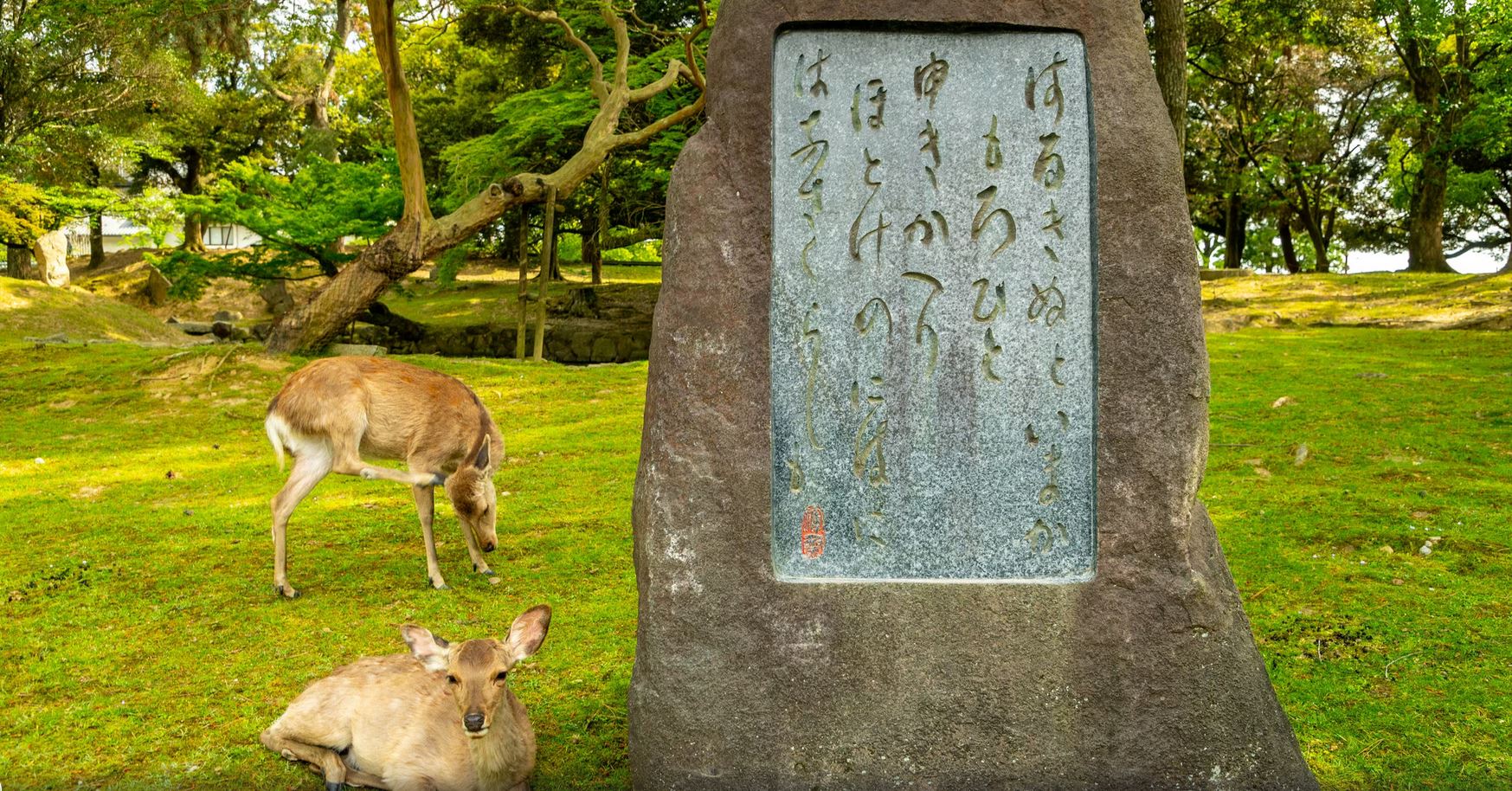 NARA3.JPG